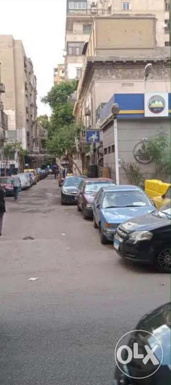 محل شارع بابا شارو بالزمالك ناصية بنزيمه مصر