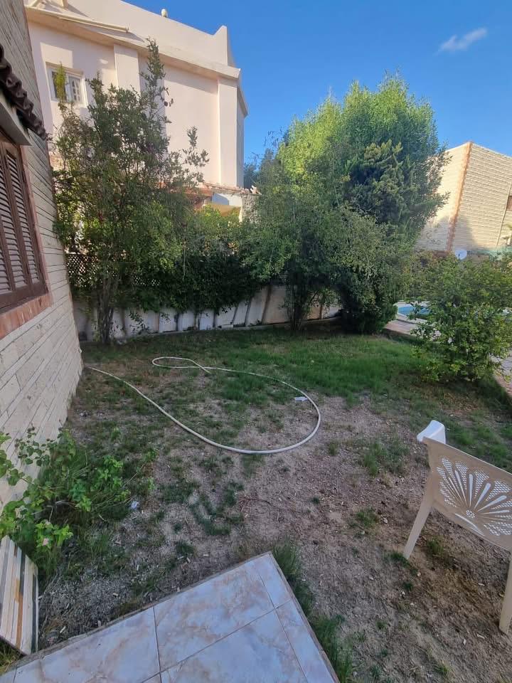 main
