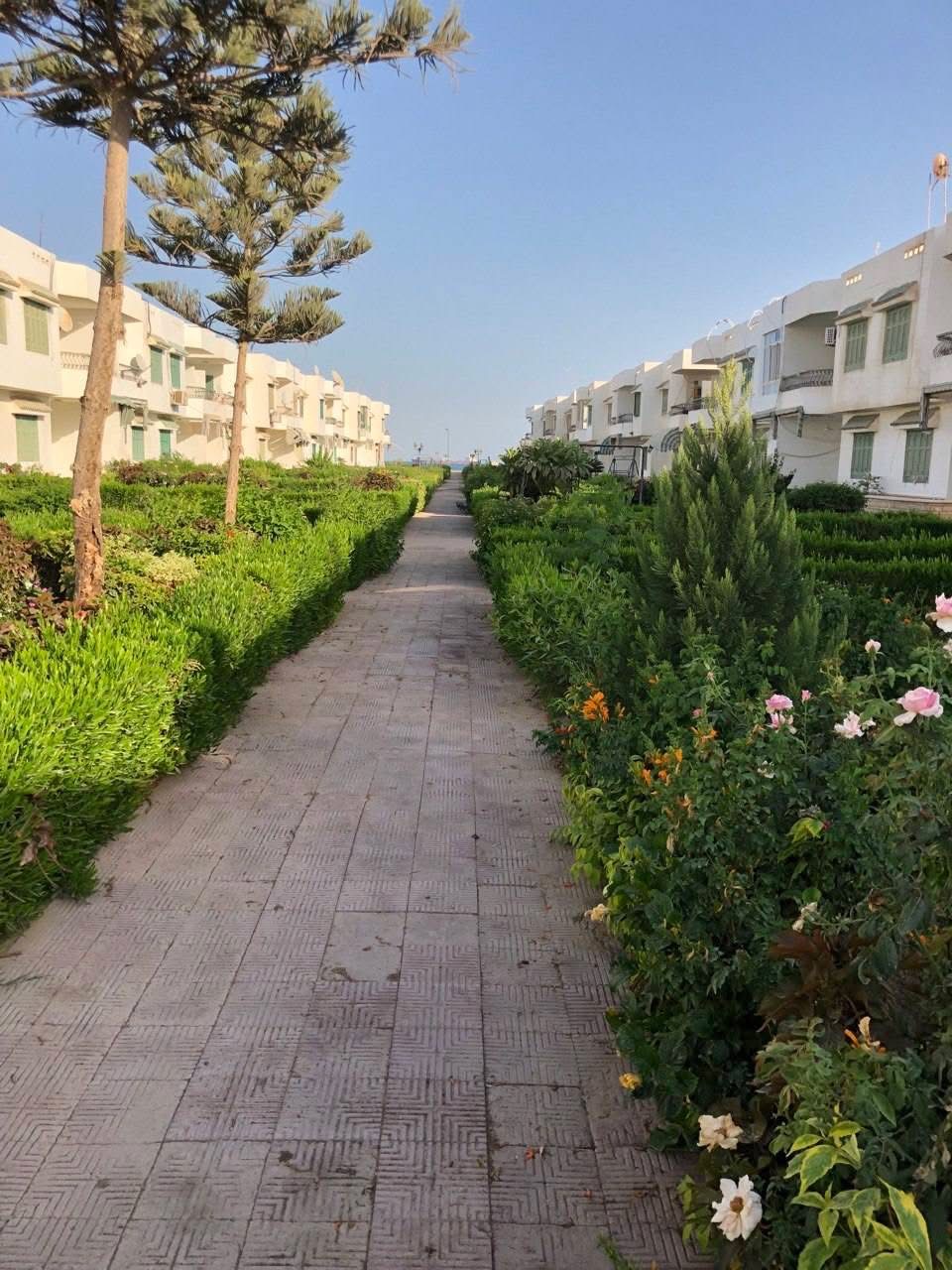 كناري بيتش امن الدوله العين السخنه محافظه السويس loading=